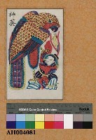 藏品(神鷹)的圖片